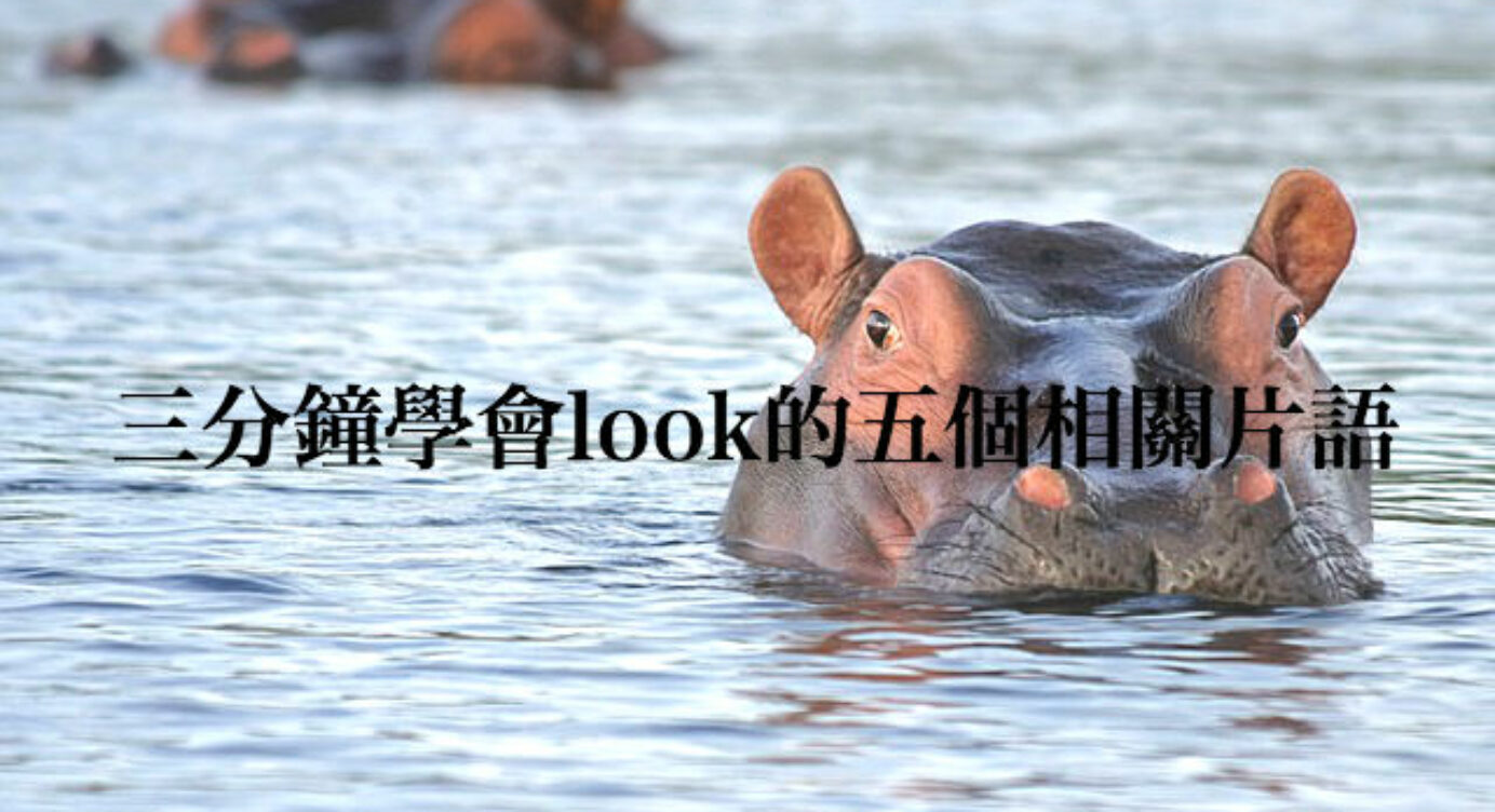 Look Alike 中文 全民學英文