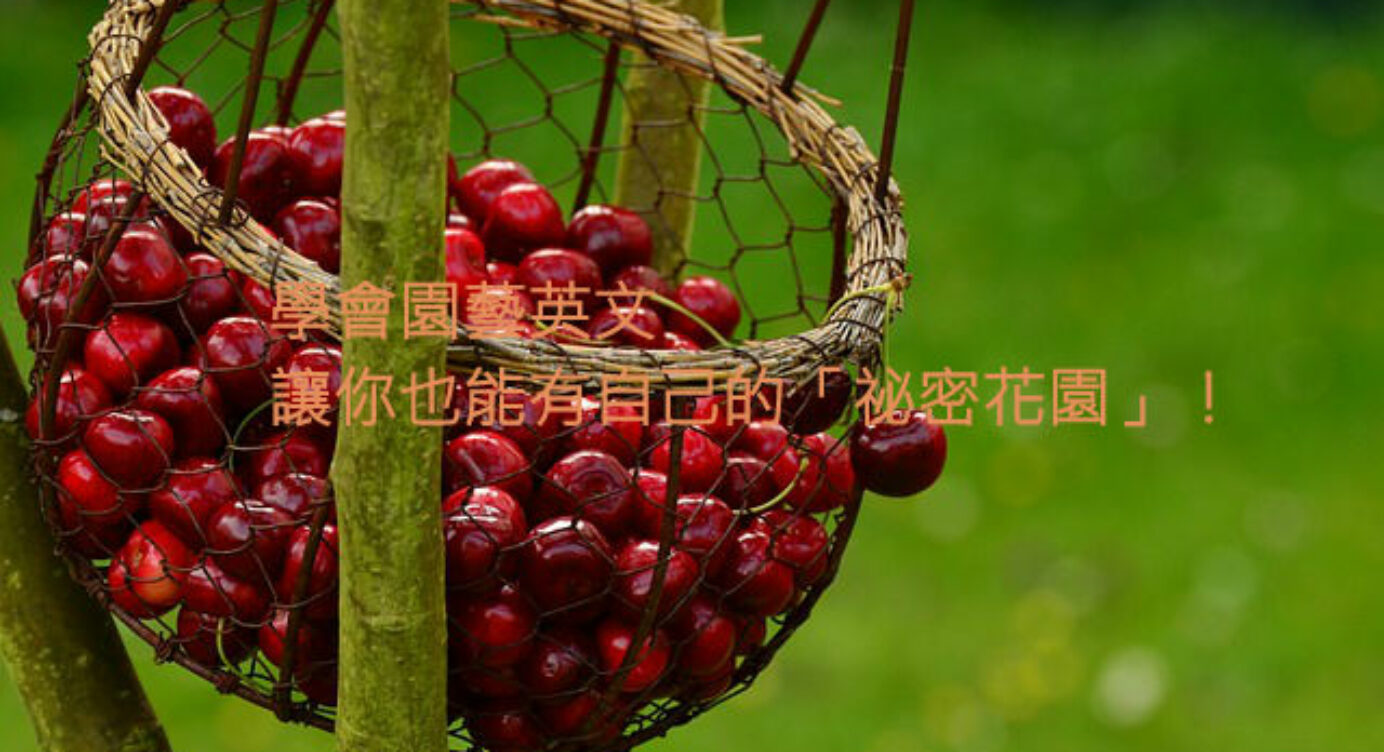 澆花 種樹 花盆 英文是 園藝 相關例句 字彙解說 全民學英文