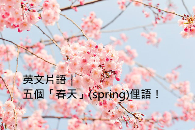 在春天英语 在春天英语怎么写_在春天可以干什么英语