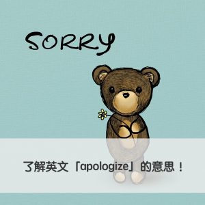 apologize 中文