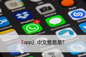 app 中文