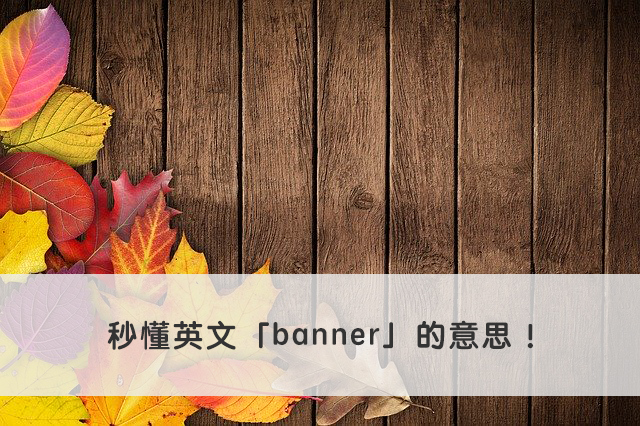 banner 中文