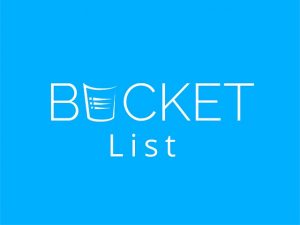 bucket list 中文