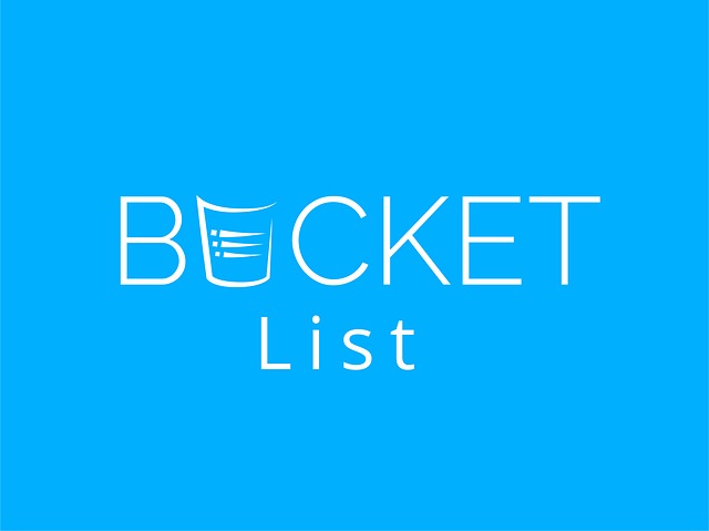 bucket list 中文