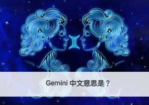 Gemini 中文意思是？