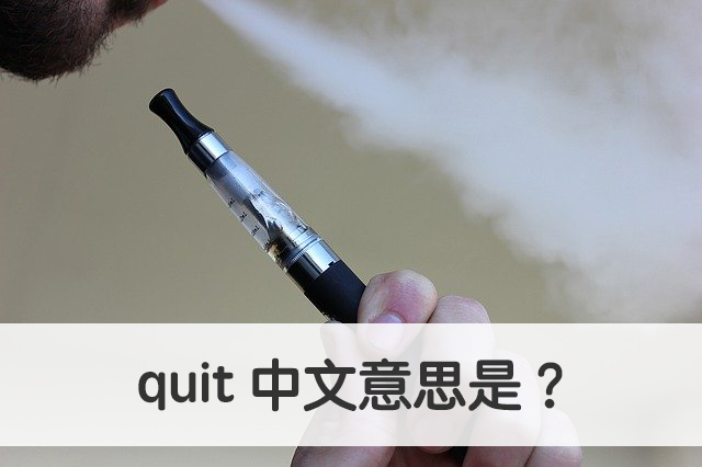 quit 中文意思