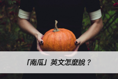 「南瓜」英文怎麼說？pumpkin/squash 中文意思！ – 全民學英文