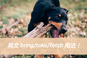 英文 bring/take/fetch 用法