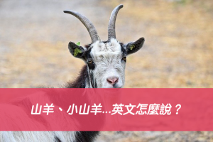 山羊、小山羊...英文怎麼說？搞懂goat 跟 kid 的中文意思差別