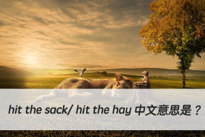 英文俚語 hit the sack/ hit the hay 中文意思是？