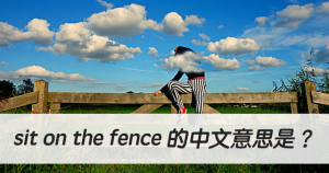 sit on the fence